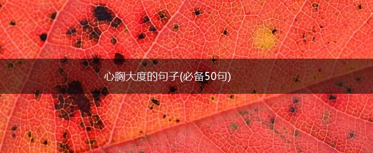 心胸大度的句子(必备50句),第1张
