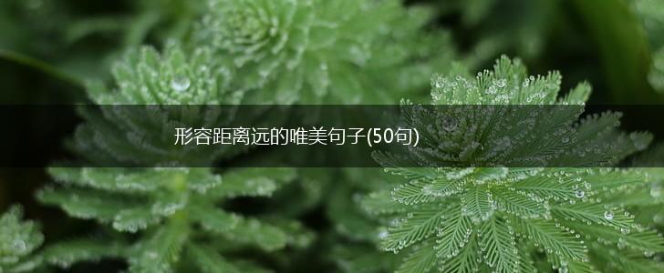 形容距离远的唯美句子(50句),第1张