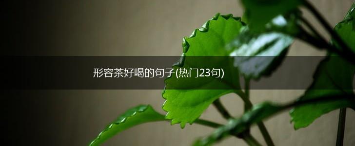 形容茶好喝的句子(热门23句),第1张