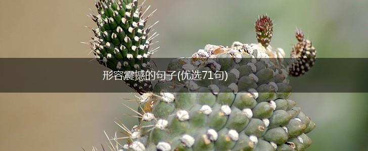 形容震撼的句子(优选71句),第1张