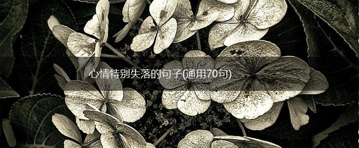 心情特别失落的句子(通用70句),第1张