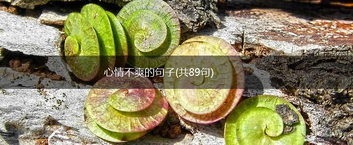 心情不爽的句子(共89句),第1张