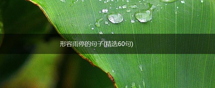 形容雨停的句子(精选60句),第1张