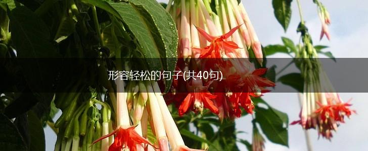 形容轻松的句子(共40句),第1张