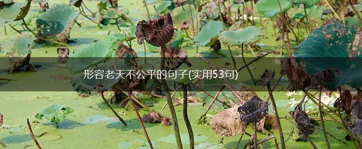 形容老天不公平的句子(实用53句),第1张