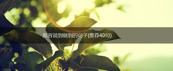 形容说到做到的句子(推荐40句),第1张