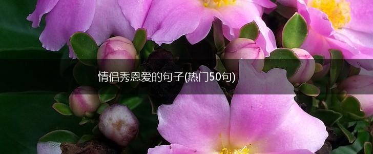 情侣秀恩爱的句子(热门50句),第1张