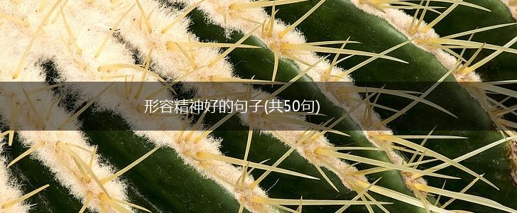 形容精神好的句子(共50句),第1张