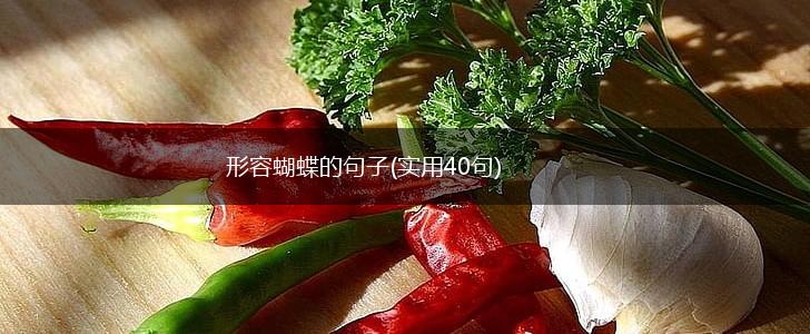 形容蝴蝶的句子(实用40句),第1张