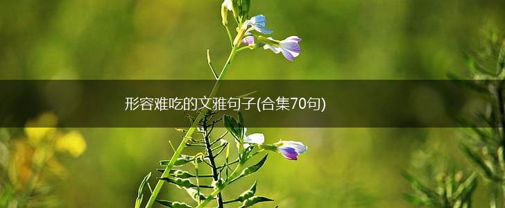 形容难吃的文雅句子(合集70句),第1张
