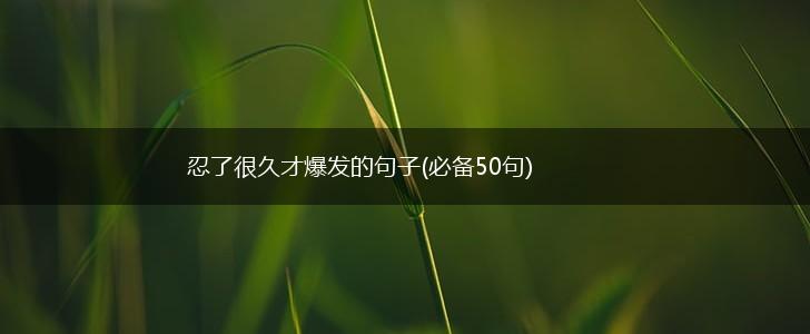 忍了很久才爆发的句子(必备50句),第1张