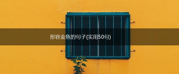 形容金鱼的句子(实用50句),第1张