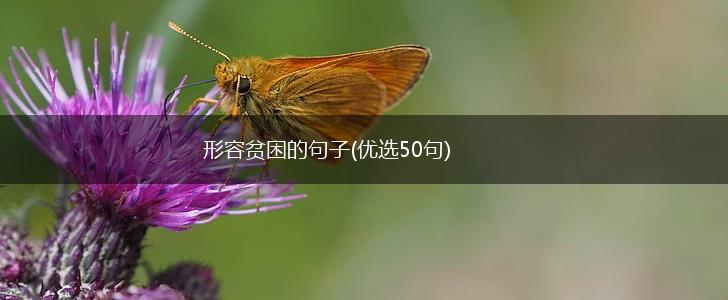形容贫困的句子(优选50句),第1张