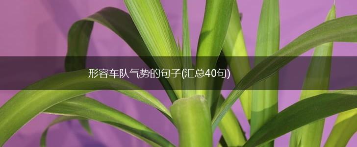 形容车队气势的句子(汇总40句),第1张