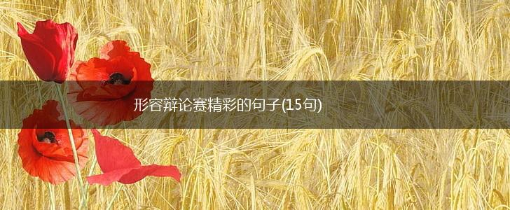 形容辩论赛精彩的句子(15句),第1张