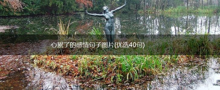 心累了的感情句子图片(优选40句),第1张