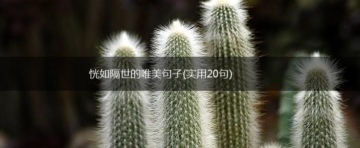 恍如隔世的唯美句子(实用20句),第1张