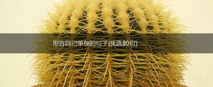 形容自己单身的句子(优选80句),第1张
