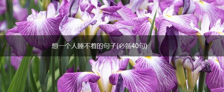 想一个人睡不着的句子(必备40句),第1张