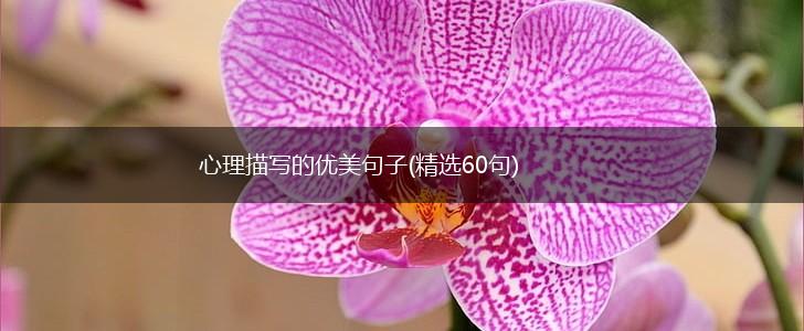 心理描写的优美句子(精选60句),第1张