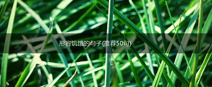 形容饥饿的句子(推荐50句),第1张
