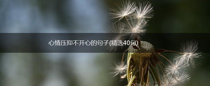 心情压抑不开心的句子(精选40句),第1张
