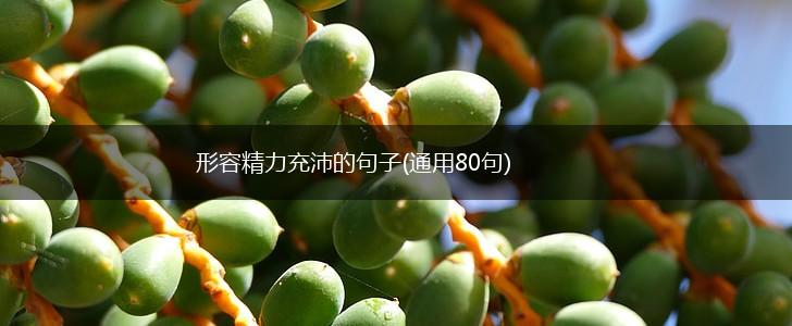 形容精力充沛的句子(通用80句),第1张