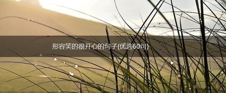 形容笑的很开心的句子(优选60句),第1张