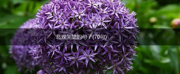 悲观失望的句子(70句),第1张