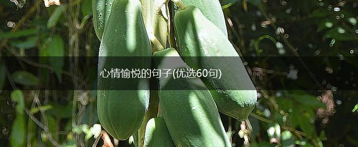 心情愉悦的句子(优选60句),第1张