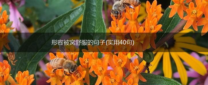 形容被窝舒服的句子(实用40句),第1张