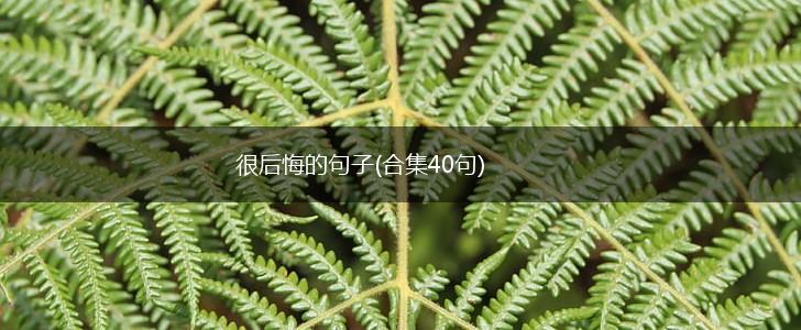 很后悔的句子(合集40句),第1张