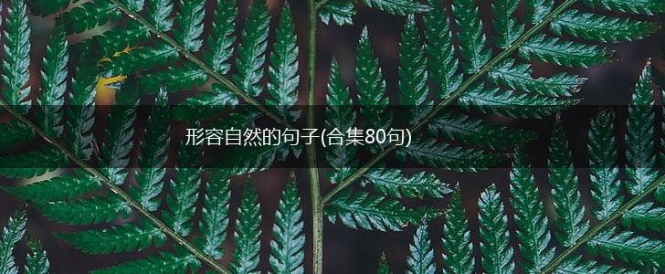 形容自然的句子(合集80句),第1张