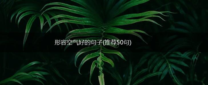 形容空气好的句子(推荐50句),第1张