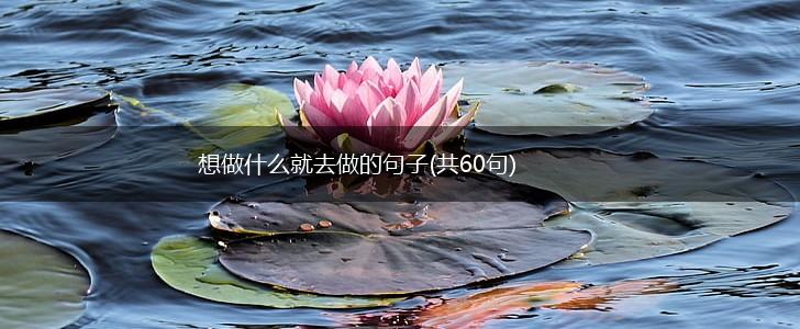 想做什么就去做的句子(共60句),第1张