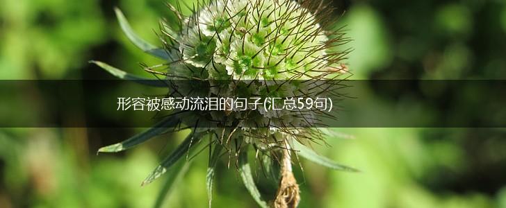 形容被感动流泪的句子(汇总59句),第1张