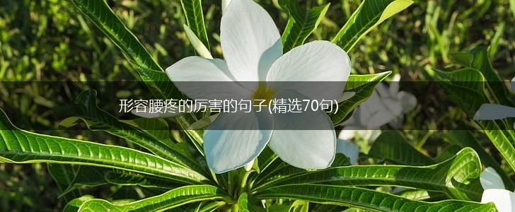 形容腰疼的厉害的句子(精选70句),第1张