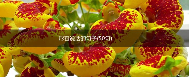 形容说话的句子(50句),第1张