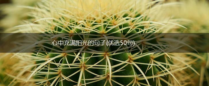 心中充满阳光的句子(优选50句),第1张