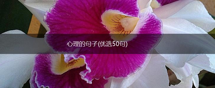 心理的句子(优选50句),第1张