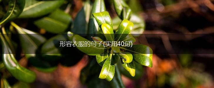 形容衣服的句子(实用40句),第1张