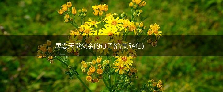 思念天堂父亲的句子(合集54句),第1张