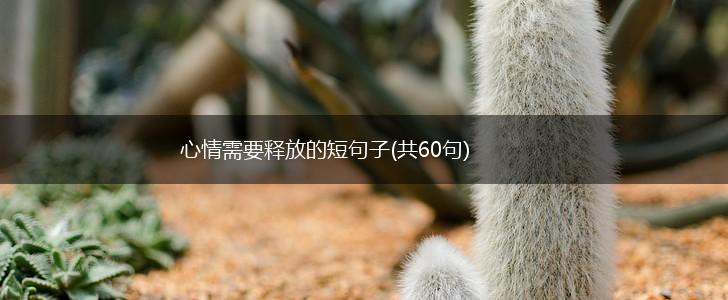 心情需要释放的短句子(共60句),第1张