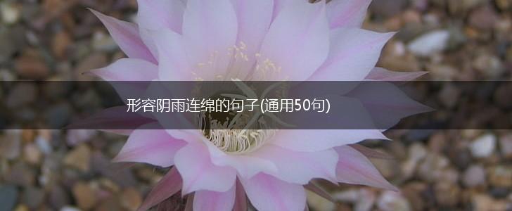 形容阴雨连绵的句子(通用50句),第1张