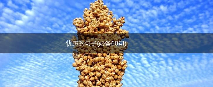 忧虑的句子(必备60句),第1张