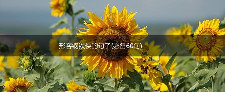 形容钢铁侠的句子(必备60句),第1张