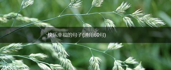 快乐幸福的句子(通用60句),第1张