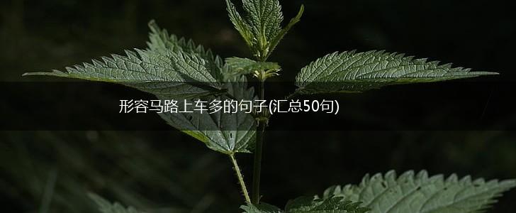 形容马路上车多的句子(汇总50句),第1张