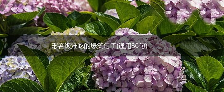 形容饭难吃的爆笑句子(通用30句),第1张