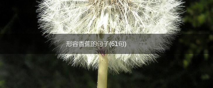 形容香蕉的句子(61句),第1张